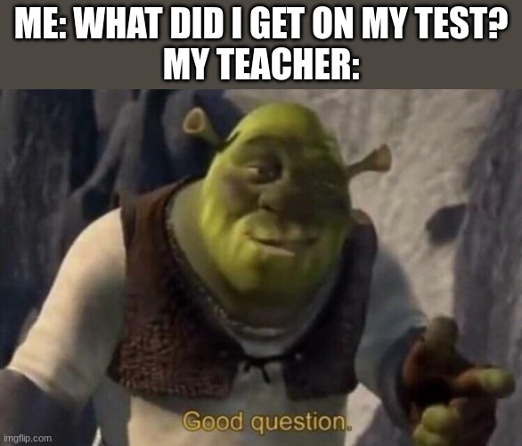 WHY | ME: WHAT DID I GET ON MY TEST?
MY TEACHER: | image tagged in shrek good question,teacher | made w/ Imgflip meme maker