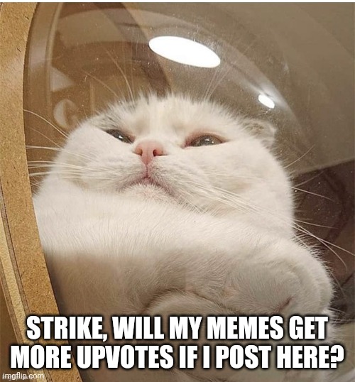 STRIKE, WILL MY MEMES GET MORE UPVOTES IF I POST HERE? | made w/ Imgflip meme maker