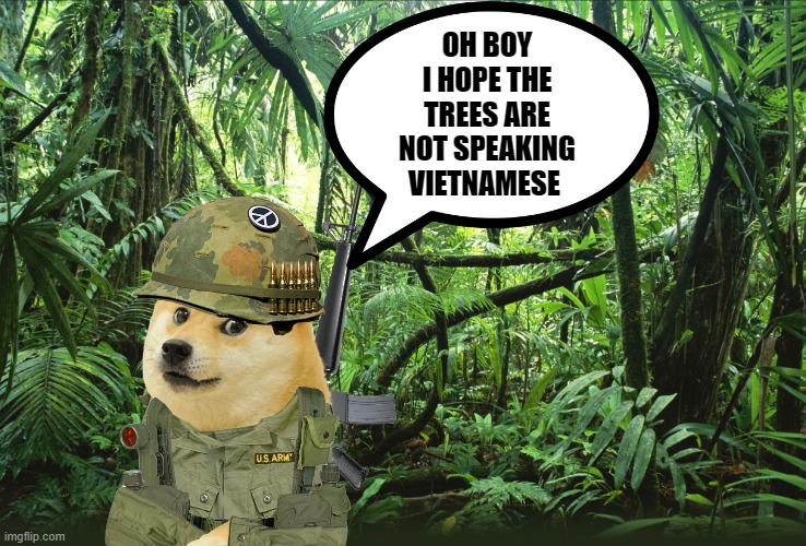 Jungle | OH BOY I HOPE THE TREES ARE NOT SPEAKING VIETNAMESE | image tagged in jungle,vietnam war,memes | made w/ Imgflip meme maker