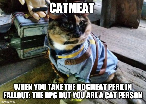 Catmeat | CATMEAT; WHEN YOU TAKE THE DOGMEAT PERK IN FALLOUT: THE RPG BUT YOU ARE A CAT PERSON | image tagged in fallout raycat,fallout,cats | made w/ Imgflip meme maker