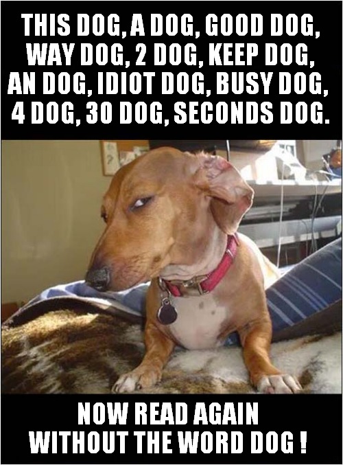 A Suspicious Dog ! | THIS DOG, A DOG, GOOD DOG,
WAY DOG, 2 DOG, KEEP DOG,
AN DOG, IDIOT DOG, BUSY DOG, 
4 DOG, 30 DOG, SECONDS DOG. NOW READ AGAIN WITHOUT THE WORD DOG ! | image tagged in dogs,suspicious dog,it's a trap | made w/ Imgflip meme maker
