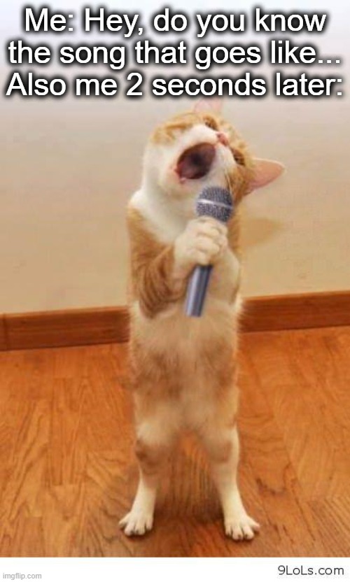 real... | Me: Hey, do you know the song that goes like...
Also me 2 seconds later: | image tagged in cat singer,singers,cat,singing,friends,lol | made w/ Imgflip meme maker