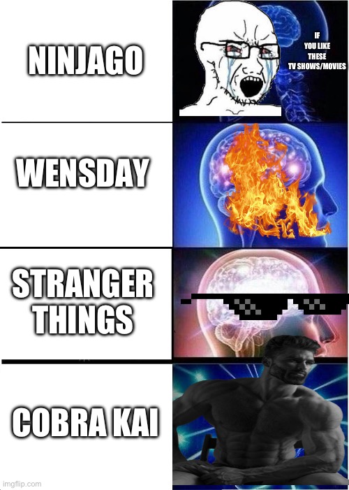 Expanding Brain | IF YOU LIKE THESE TV SHOWS/MOVIES; NINJAGO; WENSDAY; STRANGER THINGS; COBRA KAI | image tagged in memes,expanding brain | made w/ Imgflip meme maker