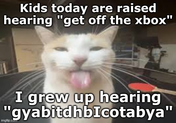 If you're a redneck you should get this. | Kids today are raised hearing "get off the xbox"; I grew up hearing "gyabitdhbIcotabya" | image tagged in cat | made w/ Imgflip meme maker