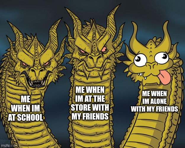 my moods | ME WHEN IM AT THE STORE WITH MY FRIENDS; ME WHEN IM ALONE WITH MY FRIENDS; ME WHEN IM AT SCHOOL | image tagged in three-headed dragon | made w/ Imgflip meme maker