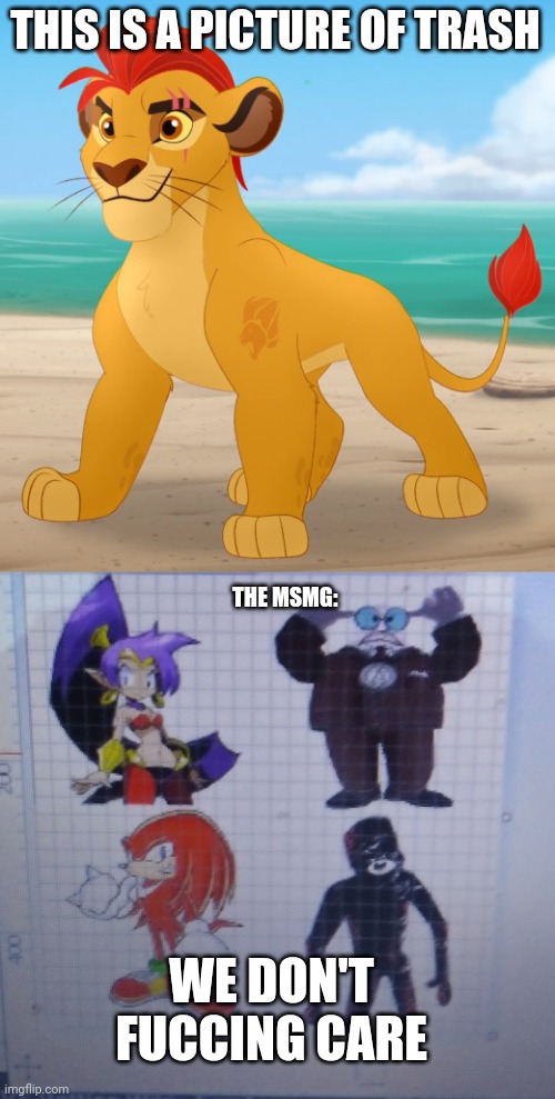 Kion is trash tbh. Right Foxy? | THIS IS A PICTURE OF TRASH; THE MSMG:; WE DON'T FUCCING CARE | image tagged in rare footage,the lion guard,we don't care | made w/ Imgflip meme maker