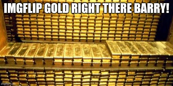 gold bars | IMGFLIP GOLD RIGHT THERE BARRY! | image tagged in gold bars | made w/ Imgflip meme maker