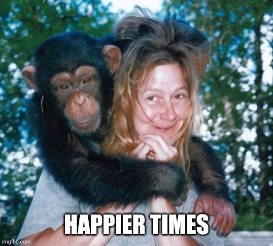HAPPIER TIMES | made w/ Imgflip meme maker