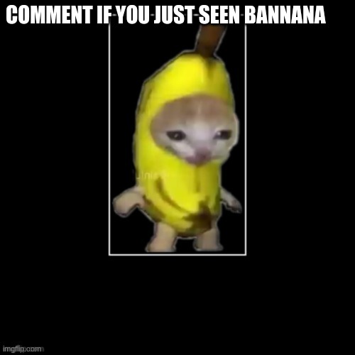 kyle | COMMENT IF YOU JUST SEEN BANNANA | image tagged in banana cat | made w/ Imgflip meme maker