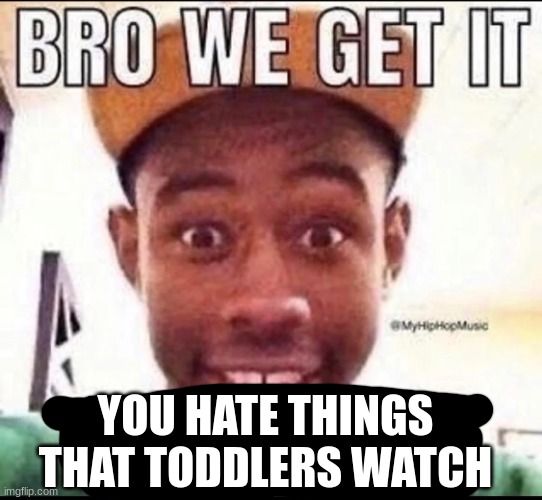 BRO WE GET IT YOU'RE GAY | YOU HATE THINGS THAT TODDLERS WATCH | image tagged in bro we get it you're gay | made w/ Imgflip meme maker