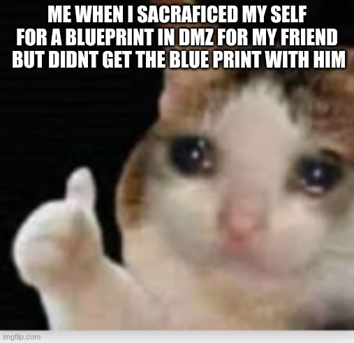 comment if you play cod dmz | ME WHEN I SACRAFICED MY SELF FOR A BLUEPRINT IN DMZ FOR MY FRIEND  BUT DIDNT GET THE BLUE PRINT WITH HIM | image tagged in happy cat | made w/ Imgflip meme maker