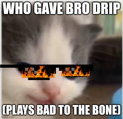 good | WHO GAVE BRO DRIP; (PLAYS BAD TO THE BONE) | image tagged in hangry | made w/ Imgflip meme maker
