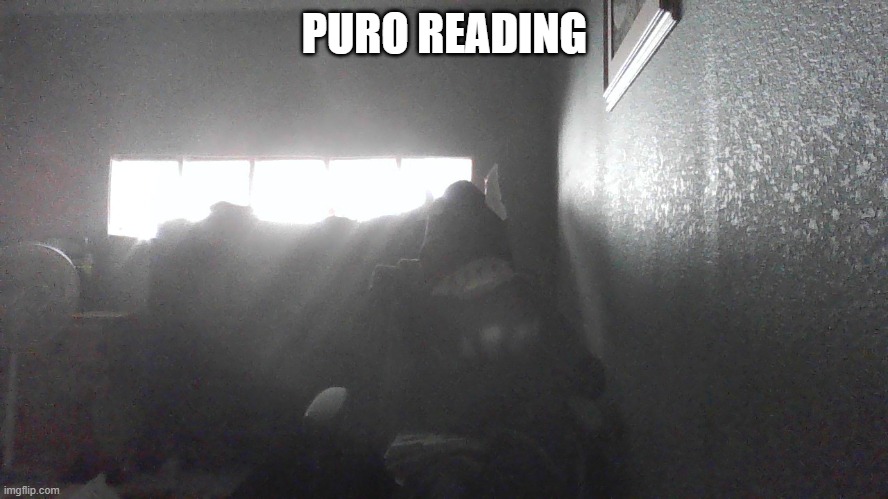 puro reading | PURO READING | made w/ Imgflip meme maker