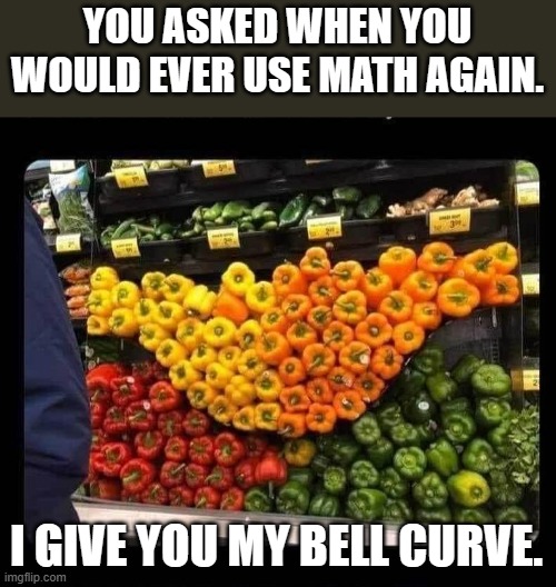 meme by Brad The bell curve | YOU ASKED WHEN YOU WOULD EVER USE MATH AGAIN. I GIVE YOU MY BELL CURVE. | image tagged in math | made w/ Imgflip meme maker