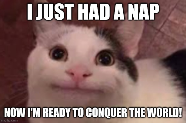 pov: my cat | I JUST HAD A NAP; NOW I'M READY TO CONQUER THE WORLD! | image tagged in happy cat | made w/ Imgflip meme maker