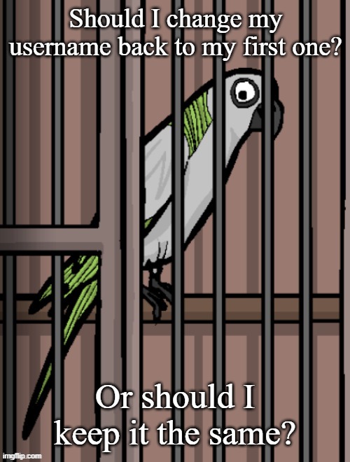 Bird on crack | Should I change my username back to my first one? Or should I keep it the same? | image tagged in bird on crack | made w/ Imgflip meme maker