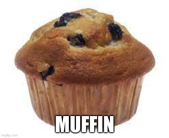 im playing games rn | MUFFIN | image tagged in muffin | made w/ Imgflip meme maker