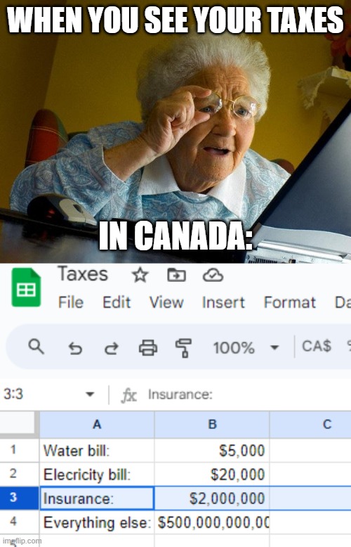 Taxes in Canada: | WHEN YOU SEE YOUR TAXES; IN CANADA: | image tagged in memes,grandma finds the internet,taxes | made w/ Imgflip meme maker