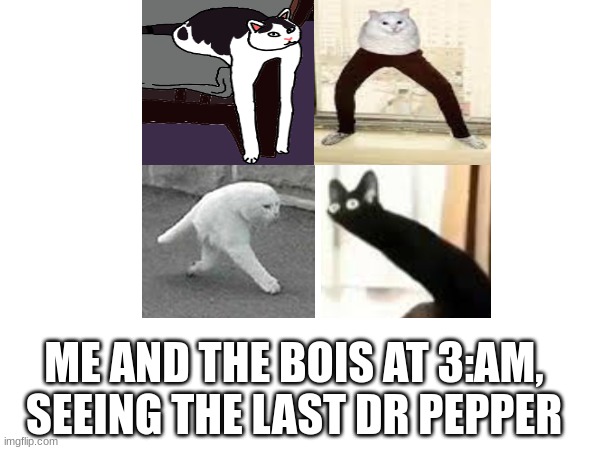 The last Dr Pepper | ME AND THE BOIS AT 3:AM, SEEING THE LAST DR PEPPER | image tagged in cats | made w/ Imgflip meme maker