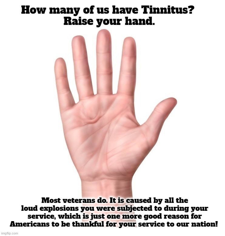 How many of us have Tinnitus? | image tagged in tinnitus,raise your hand,veterans,thank a veteran,veterans day | made w/ Imgflip meme maker