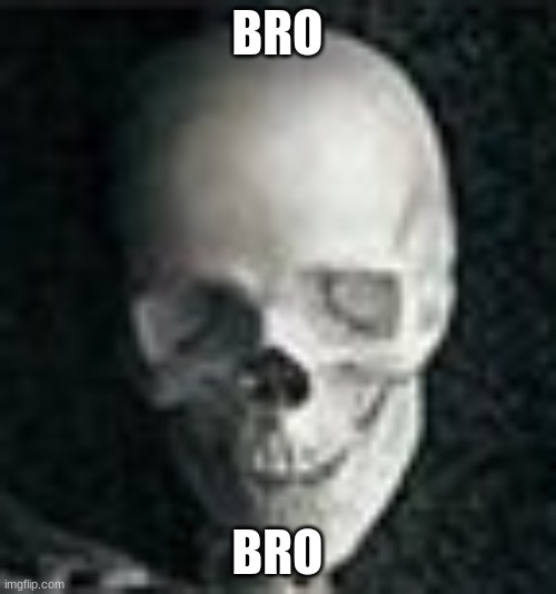 Skull | BRO BRO | image tagged in skull | made w/ Imgflip meme maker
