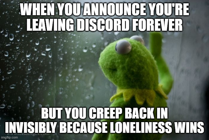 kermit window | WHEN YOU ANNOUNCE YOU'RE LEAVING DISCORD FOREVER; BUT YOU CREEP BACK IN INVISIBLY BECAUSE LONELINESS WINS | image tagged in kermit window | made w/ Imgflip meme maker