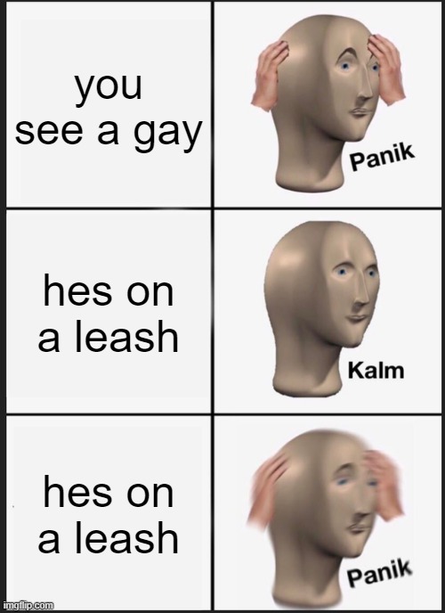 i hate gays | you see a gay; hes on a leash; hes on a leash | image tagged in memes,panik kalm panik | made w/ Imgflip meme maker