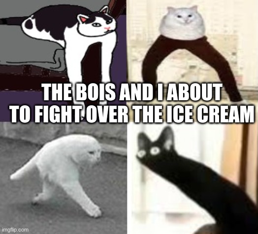 Me and the bois | THE BOIS AND I ABOUT TO FIGHT OVER THE ICE CREAM | image tagged in the cats | made w/ Imgflip meme maker