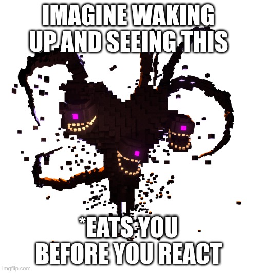 Wither storm | IMAGINE WAKING UP AND SEEING THIS; *EATS YOU BEFORE YOU REACT | image tagged in wither storm | made w/ Imgflip meme maker