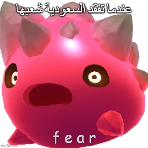 عندما تفقد السعودية شعبها; f e a r | made w/ Imgflip meme maker