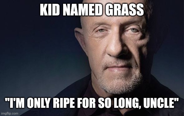 Kid Named | KID NAMED GRASS "I'M ONLY RIPE FOR SO LONG, UNCLE" | image tagged in kid named | made w/ Imgflip meme maker