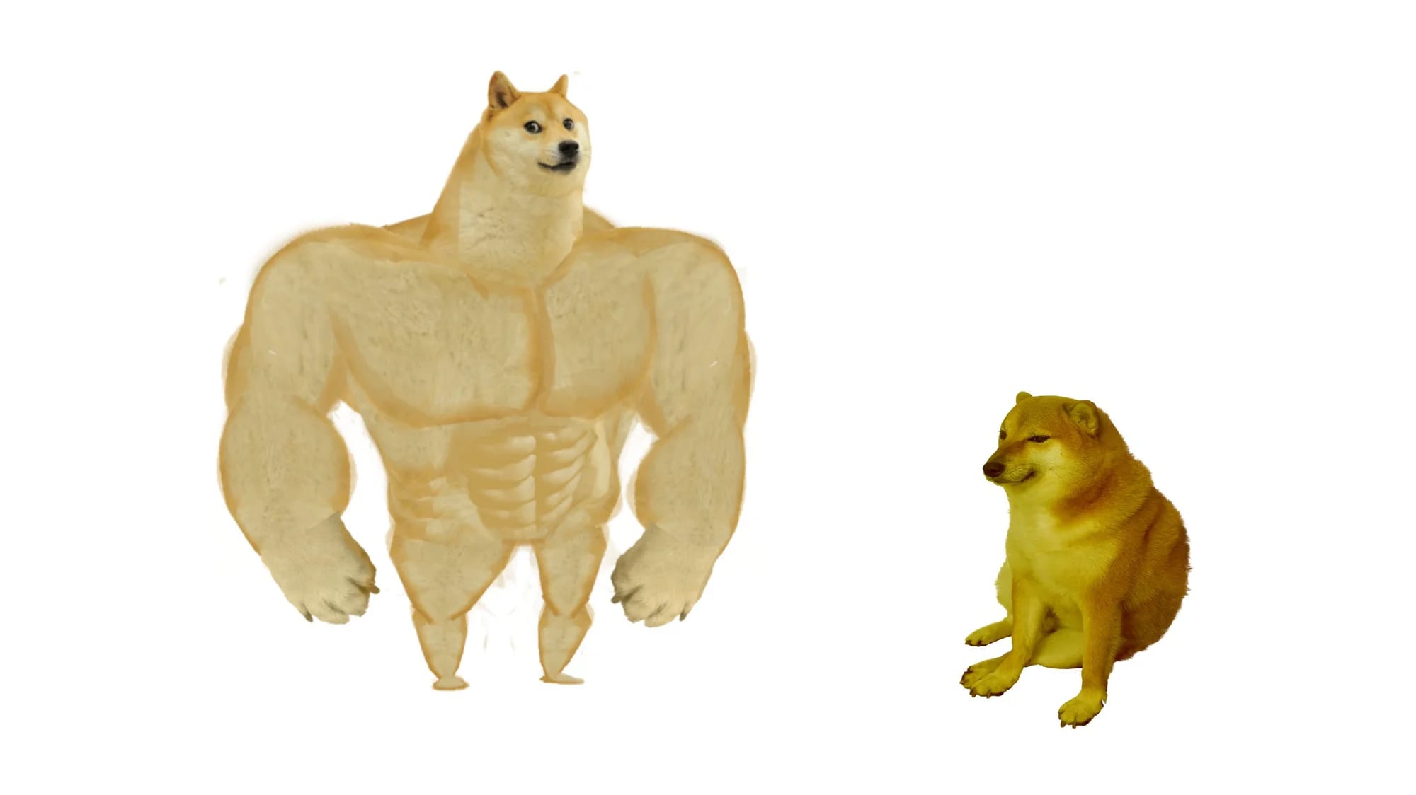 High Quality buff doge vs weak doge Blank Meme Template