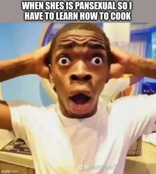 I think I'm in love with a pansexual(I'm not a troll btw) | WHEN SHE IS PANSEXUAL SO I 
HAVE TO LEARN HOW TO COOK | image tagged in shocked black guy | made w/ Imgflip meme maker