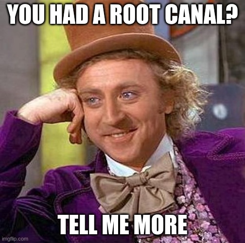 Creepy Condescending Wonka | YOU HAD A ROOT CANAL? TELL ME MORE | image tagged in memes,creepy condescending wonka | made w/ Imgflip meme maker
