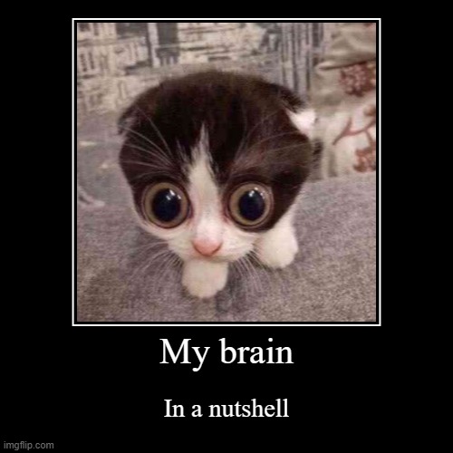 My brain | In a nutshell | image tagged in funny,demotivationals | made w/ Imgflip demotivational maker