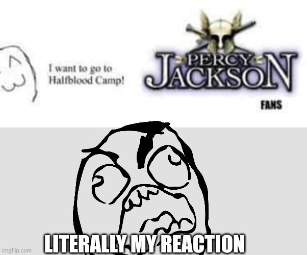 LITERALLY MY REACTION | image tagged in percy jackson | made w/ Imgflip meme maker