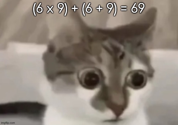 bombastic side eye cat | (6 x 9) + (6 + 9) = 69 | image tagged in bombastic side eye cat | made w/ Imgflip meme maker