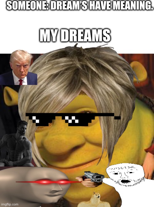 Hmmm | SOMEONE: DREAM’S HAVE MEANING. MY DREAMS | image tagged in shrek,dream | made w/ Imgflip meme maker