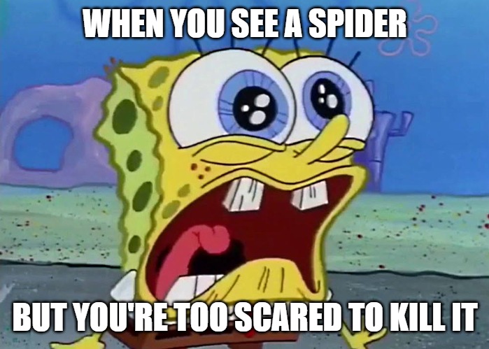 WHEN YOU SEE A SPIDER; BUT YOU'RE TOO SCARED TO KILL IT | image tagged in spongebob | made w/ Imgflip meme maker