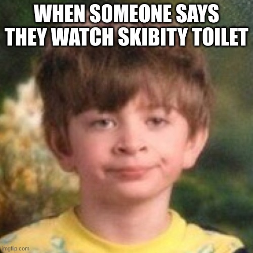 annoyed | WHEN SOMEONE SAYS THEY WATCH SKIBITY TOILET | image tagged in annoyed face | made w/ Imgflip meme maker