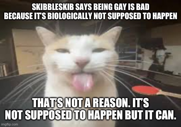 Cat | SKIBBLESKIB SAYS BEING GAY IS BAD BECAUSE IT’S BIOLOGICALLY NOT SUPPOSED TO HAPPEN; THAT’S NOT A REASON. IT’S NOT SUPPOSED TO HAPPEN BUT IT CAN. | image tagged in cat | made w/ Imgflip meme maker