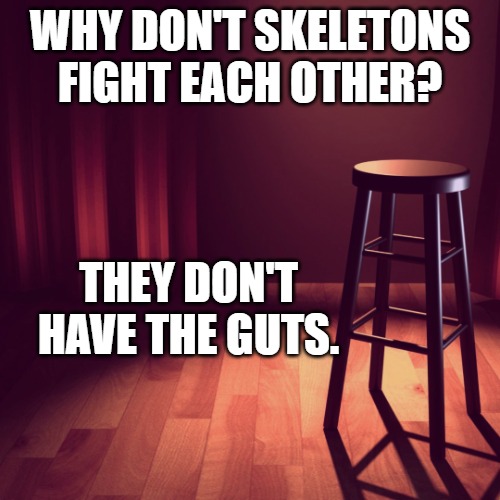 WHY DON'T SKELETONS FIGHT EACH OTHER? THEY DON'T HAVE THE GUTS. | image tagged in joke template | made w/ Imgflip meme maker