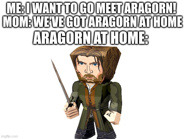 Aragorn? Is that you? | ME: I WANT TO GO MEET ARAGORN! 
MOM: WE'VE GOT ARAGORN AT HOME; ARAGORN AT HOME: | image tagged in lord of the rings | made w/ Imgflip meme maker