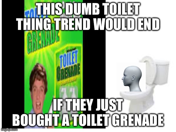 This meme is kinda eh but I was bored | THIS DUMB TOILET THING TREND WOULD END; IF THEY JUST BOUGHT A TOILET GRENADE | image tagged in toilet,grenade | made w/ Imgflip meme maker