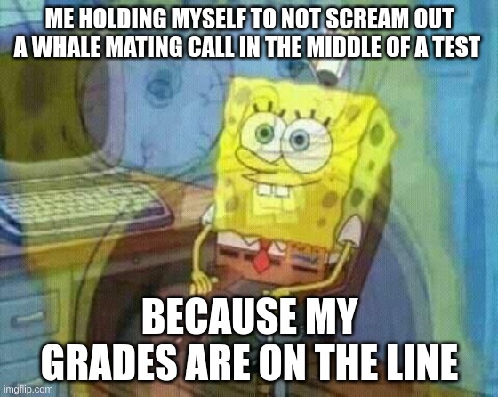 SpongeBob Panic Inside | ME HOLDING MYSELF TO NOT SCREAM OUT A WHALE MATING CALL IN THE MIDDLE OF A TEST; BECAUSE MY GRADES ARE ON THE LINE | image tagged in spongebob panic inside | made w/ Imgflip meme maker