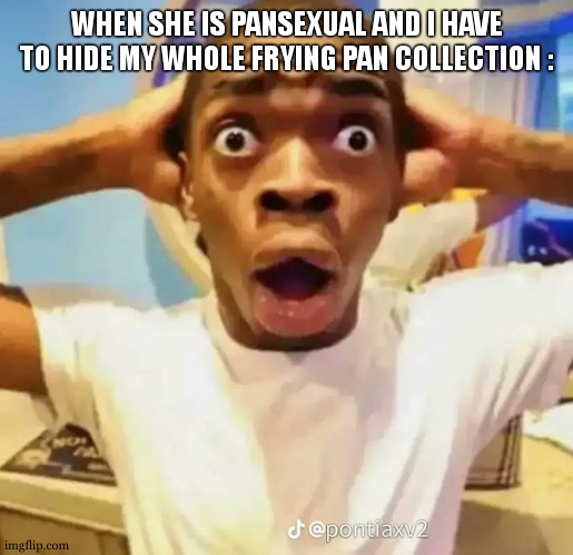 Shocked black guy | WHEN SHE IS PANSEXUAL AND I HAVE TO HIDE MY WHOLE FRYING PAN COLLECTION : | image tagged in shocked black guy | made w/ Imgflip meme maker