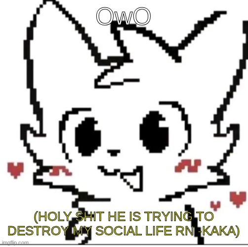 silly cat | OwO; (HOLY SHIT HE IS TRYING TO DESTROY MY SOCIAL LIFE RN -KAKA) | image tagged in silly cat | made w/ Imgflip meme maker