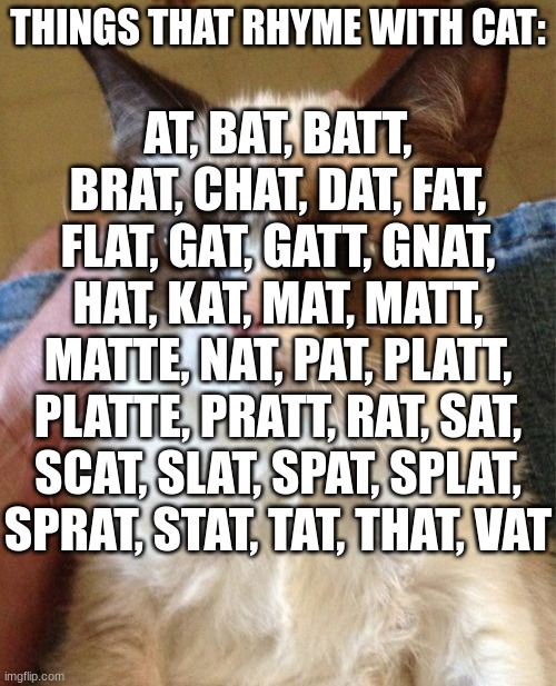 Things that rhyme with cat: | THINGS THAT RHYME WITH CAT:; AT, BAT, BATT, BRAT, CHAT, DAT, FAT, FLAT, GAT, GATT, GNAT, HAT, KAT, MAT, MATT, MATTE, NAT, PAT, PLATT, PLATTE, PRATT, RAT, SAT, SCAT, SLAT, SPAT, SPLAT, SPRAT, STAT, TAT, THAT, VAT | image tagged in memes,grumpy cat,rhymes,cat,funni,funny meme | made w/ Imgflip meme maker