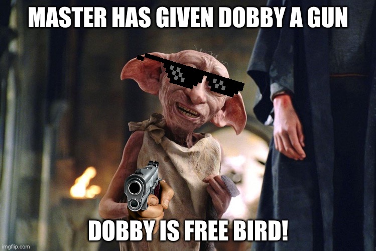 *music intensifies* | MASTER HAS GIVEN DOBBY A GUN; DOBBY IS FREE BIRD! | image tagged in dobby is free,memes,funny,funny memes,'murica,harry potter | made w/ Imgflip meme maker