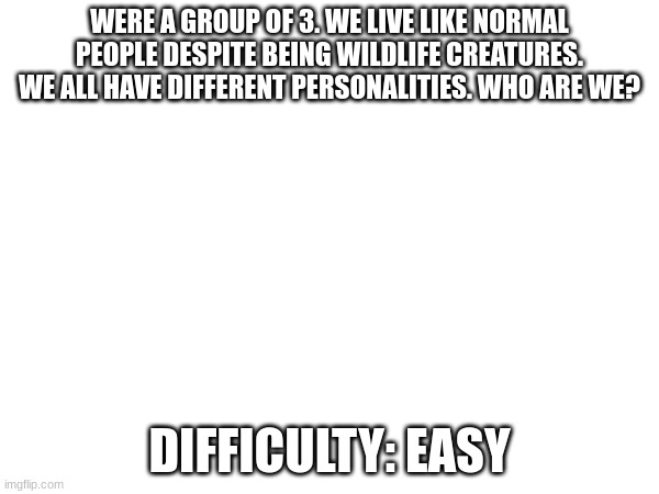 shouldnt be to hard if you really think about it | WERE A GROUP OF 3. WE LIVE LIKE NORMAL PEOPLE DESPITE BEING WILDLIFE CREATURES. WE ALL HAVE DIFFERENT PERSONALITIES. WHO ARE WE? DIFFICULTY: EASY | image tagged in quiz | made w/ Imgflip meme maker